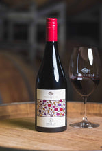 Load image into Gallery viewer, 2022 Single Vineyard Shiraz
