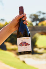 Load image into Gallery viewer, 2023 Pinot Noir