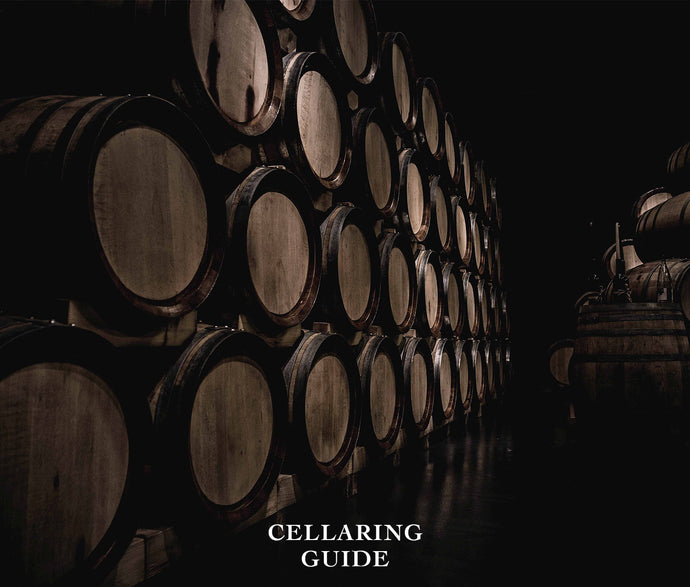 Our guide to cellaring wine
